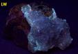 Galena, violet Fluorite, Calcite crystals, tabular Baryte, fluorescent - Cave-In-Rock, Cave-In-Rock Sub-District, Illinois-Kentucky Fluorspar District, Hardin County, Illinois, USA, ex Parker Minerals