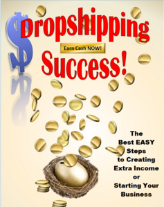 Dropshipping Success