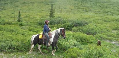Horseback riding in Alaska