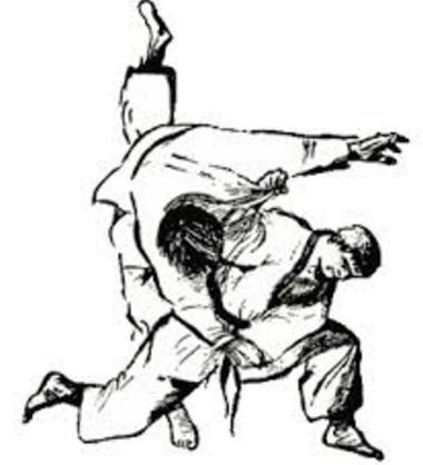 adult judo classes providence ri