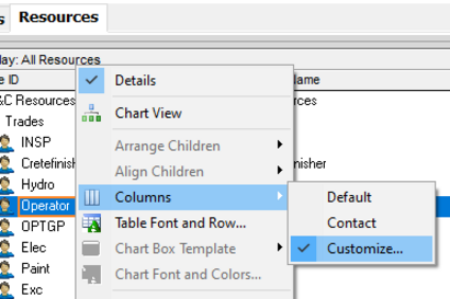 Choose Primavera P6 resources tab and then columns