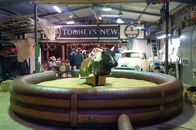 Mechanical Bull Ride Rental