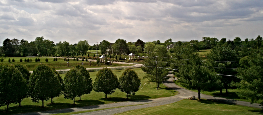 country comfort bed and breakfast