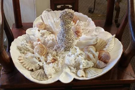Shells sea ocean corals hand made by Melinda seashells