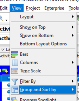 Group and sort by Primavera P6