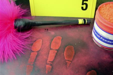 Forensic Fingerprint Identification