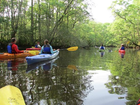 Most Popular Kayak Fishing Destinations: Charleston, SC