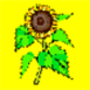 Sun Flower Kids Mystery Party facilitated by Amy Lilly In Virginia, Maryland and Washington, DC