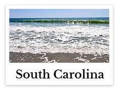South Carolina online chiropractic CE seminars continuing education courses for chiropractors credit hours state board approved CEU chiro courses live DC events