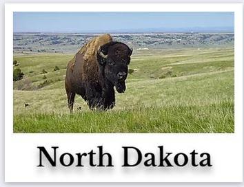 North Dakota Online CE Chiropractic DC Courses internet on demand chiro seminar hours for continuing education ceu credits