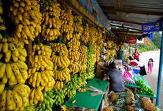 San Pedro Sula mercado