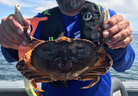 oregon coast crabbing