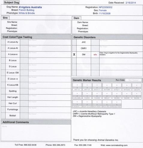 French bulldog hot sale health testing