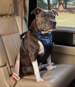 dog harness dog car safety
