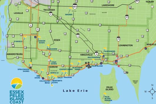 Essex Pelee WIneries