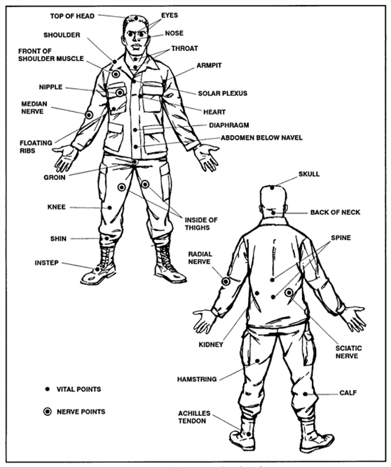 Systema