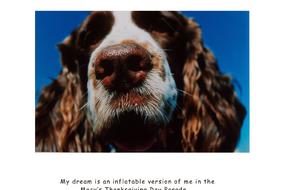 Captioned images of Springer Spaniels in the personality of Dorothy Parker and Robert Benchley