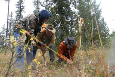 Flathead County Man Tracking