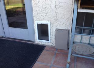 Pet Door Installation Buckeye Arizona