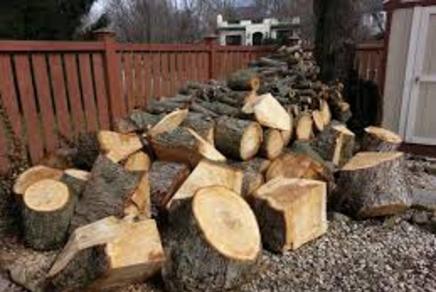 Looking for yard waste removal service in Omaha NE? Omaha Junk Disposal specialize in yard waste disposal and debris removal, including tree branch and storm cleanup services in Omaha NE! Our junk removal professionals also provide services for yard waste removal and other debris that might be cluttering up your yard. Schedule a yard waste removal service today! Free estimates!