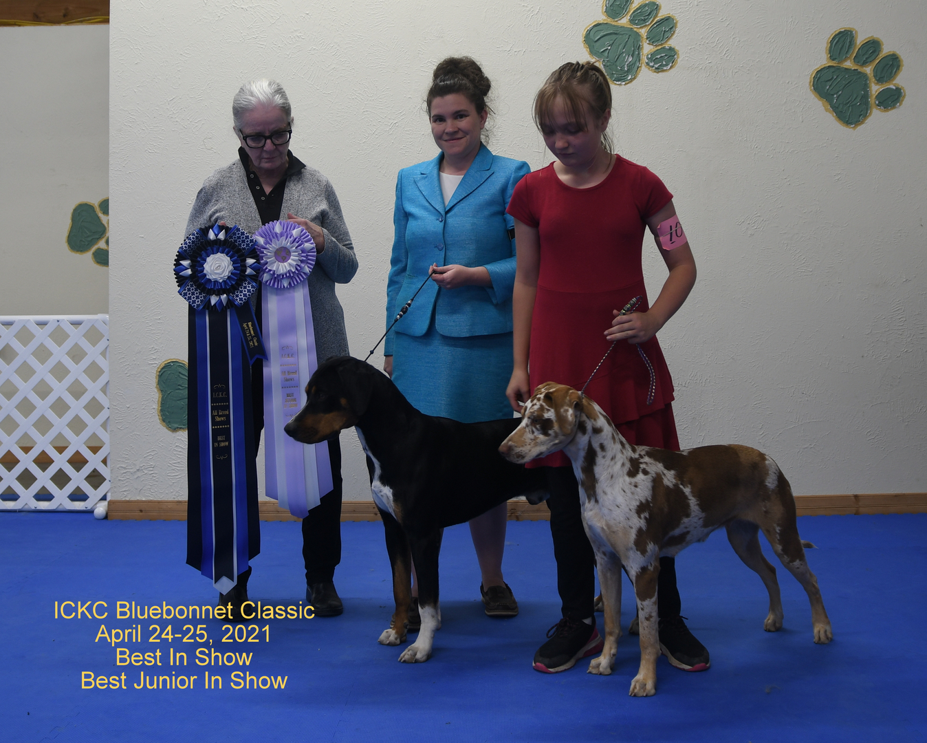 Is My Dog Registered With The Kennel Club