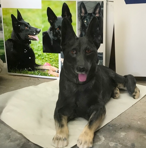 message me for a custom sculpture of your dog Custom German Shepherd Sculpture