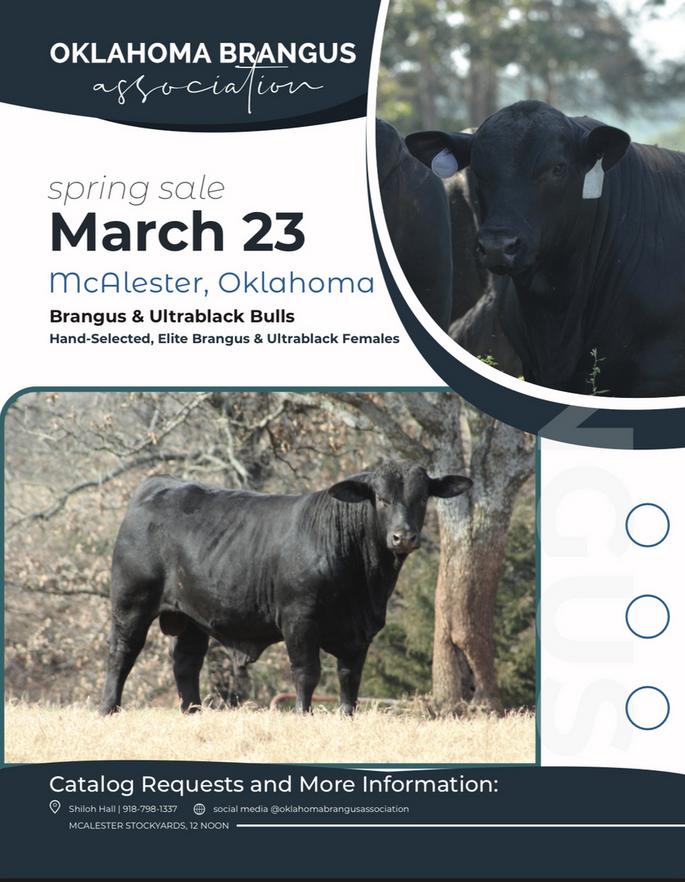 Oklahoma Brangus Association