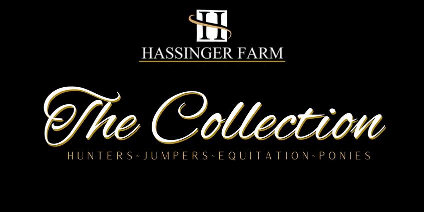The Spring Hassinger Horse Collection consists of top hunter, jumpers and equitation horses for sale and lease.