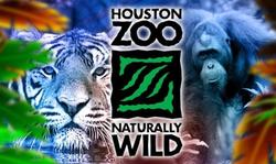 Houston Zoo 2017 Super Bowl Fun Activities