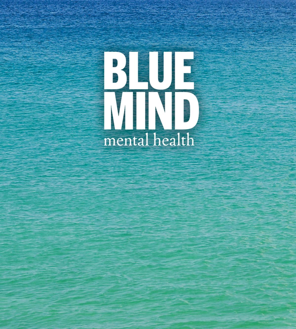 Blue Mind Mental Health Therapy and Mental Health Counseling
