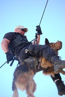 what qualifications do you need to be a dog handler in the police