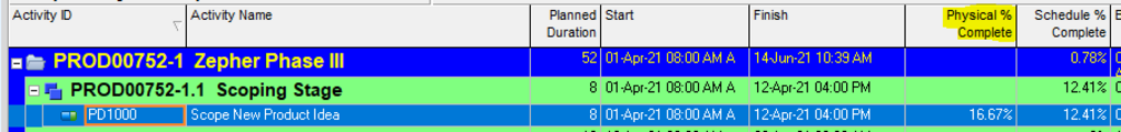 Primavera P6 schedule using step template