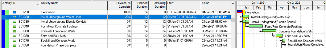 Primavera P6 Gantt chart before work is suspended