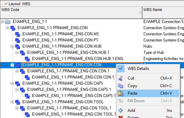 Paste WBS Primavera P6 structure and lines