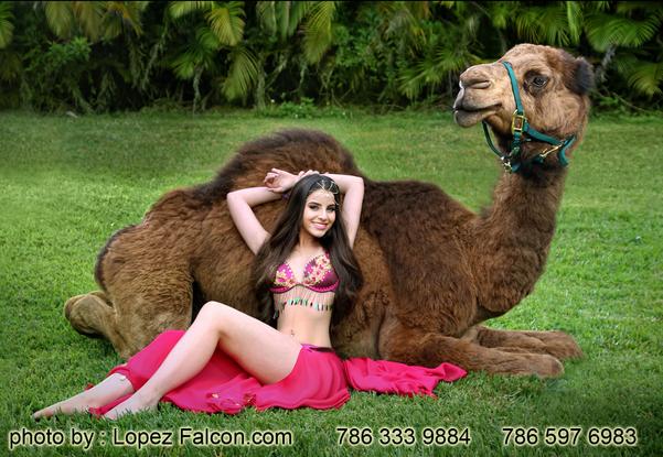 CAMELS QUINCEANERA WITH CAMEL MIAMI HOMESTEAD SHOW REDLAND CORAL GABLES HIALEAH SWEET 15 WITH CAMEL