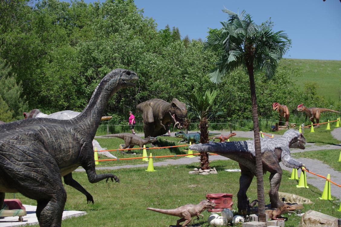 the dino park