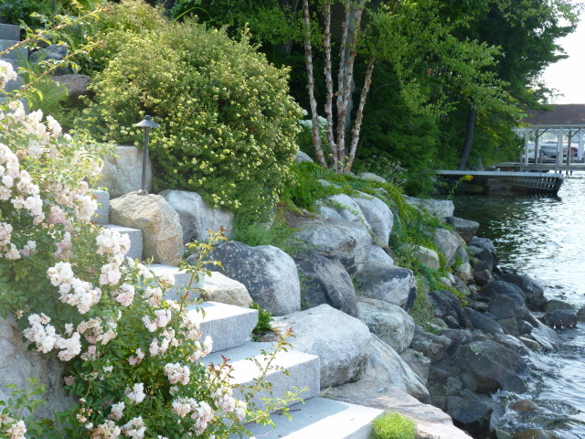 shoreline landscape