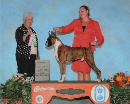 Kennel Club of Freeborn County - Home