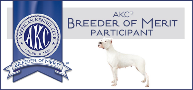 Dogo Argentino Breeder/Owner Club