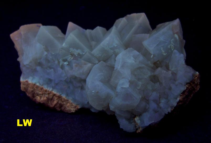 FL Calcite crystals – Edgemont, South Dakota