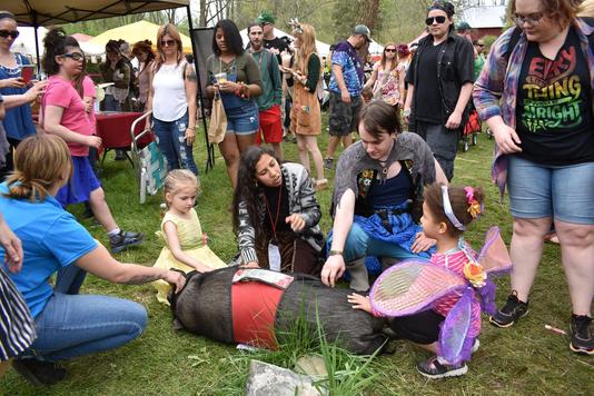 Fairie Festival