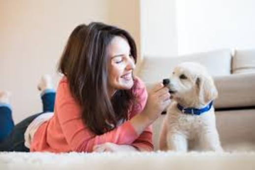 Cleaning Service for Pet Owners and Cost Las Vegas NV MGM Household Services