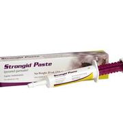 Strongid horse broad spectrum dewormer paste 43.9% pyrantel pamoate single does treats up 1,200 pound horse