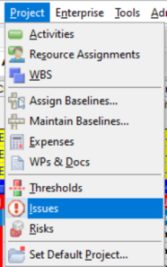 Select Project tab in Primavera P6 and then Issues
