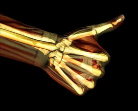 HOME X-RAY AND ULTRASOUND