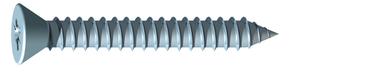 Woodscrew