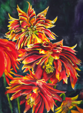 Double Dahlias, Limited Edition Giclee, Tracy Harris Watercolor Artist