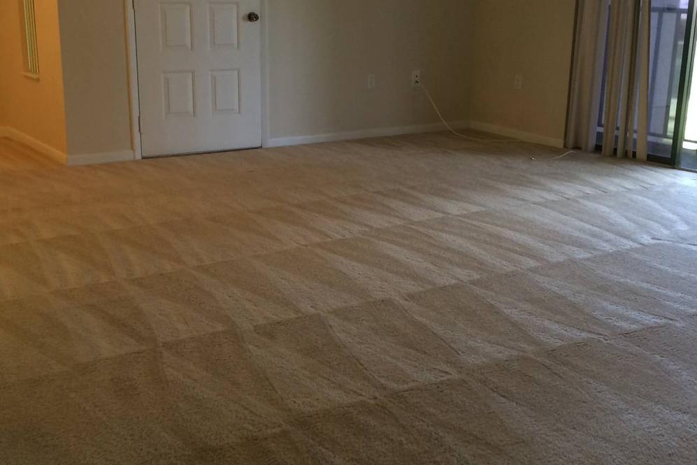Tarpon Springs Carpet Cleaners Pasco County Carpet Cleaning Suds Up