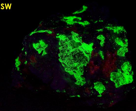 fluorescing SPHALERITE, WILLEMITE, FRANKLINITE-MAGNETITE, TEPHROITE - Sterling Mine, Sterling Hill, Ogdensburg, Franklin Mining District, Sussex County, New Jersey, USA - type locality