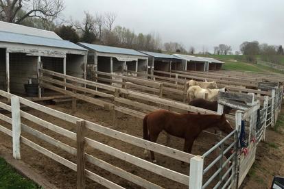 Triple M Stable, Council Bluffs, IA- Run Board